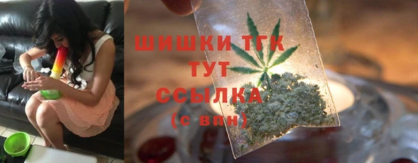 амф Дмитриев