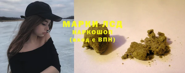 амф Дмитриев
