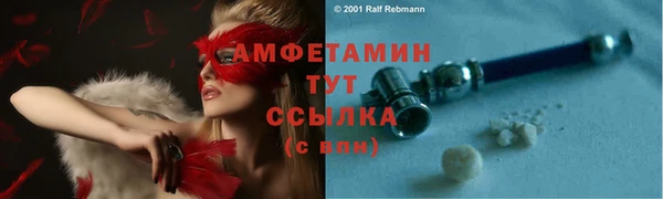амф Дмитриев