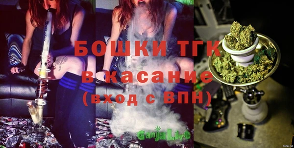амф Дмитриев