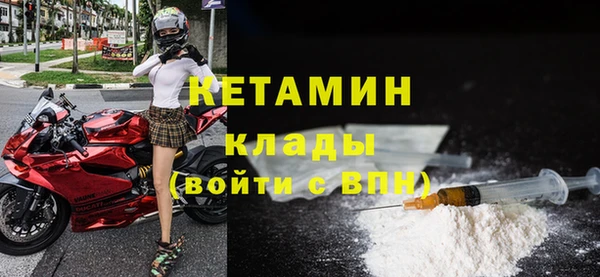 амф Дмитриев