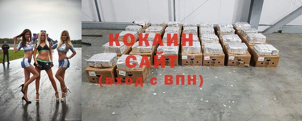 амф Дмитриев