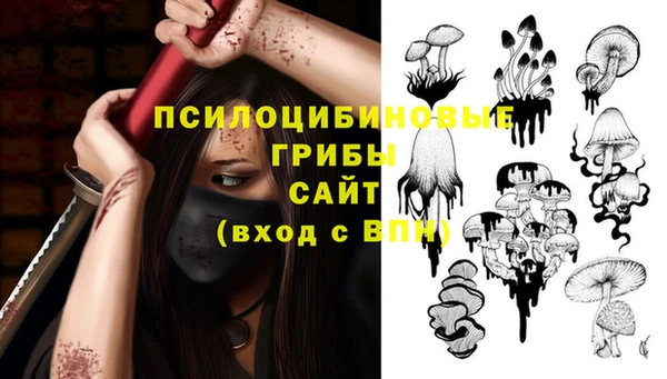 амф Дмитриев