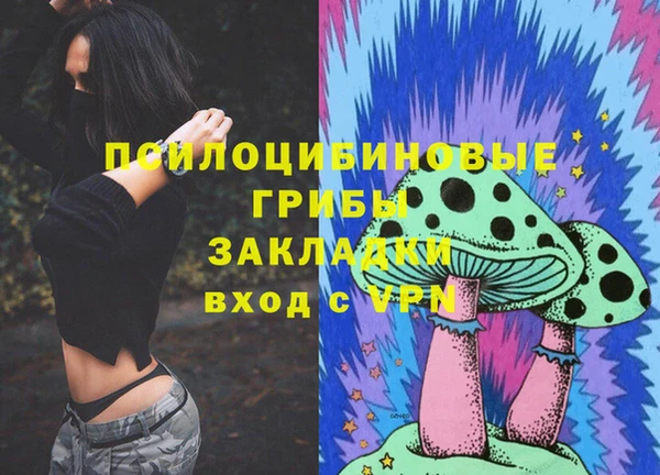 амф Дмитриев