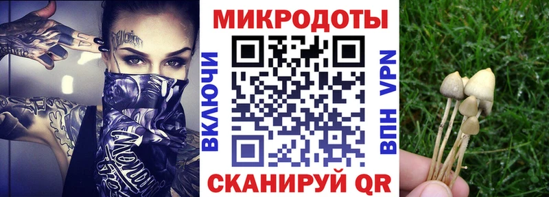Псилоцибиновые грибы прущие грибы  Купить закладки  Шарья 